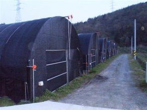 专注农业育苗与道路安全 寿光艺博穴盘厂的一站式解决方案